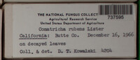 Image Associated With the Occurence